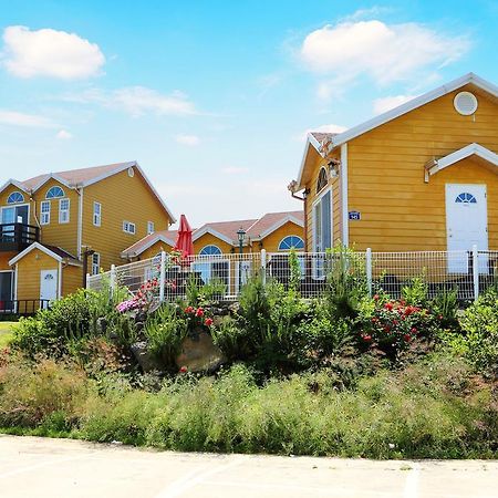 Healing House Villa Seogwipo Exterior foto