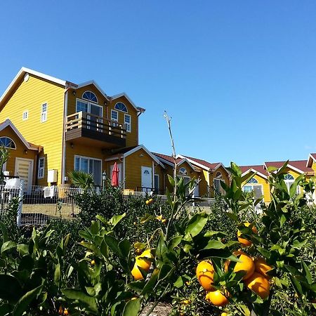 Healing House Villa Seogwipo Exterior foto
