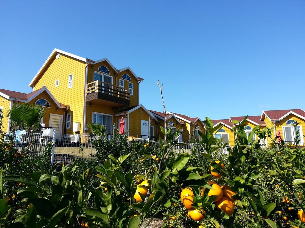 Healing House Villa Seogwipo Exterior foto